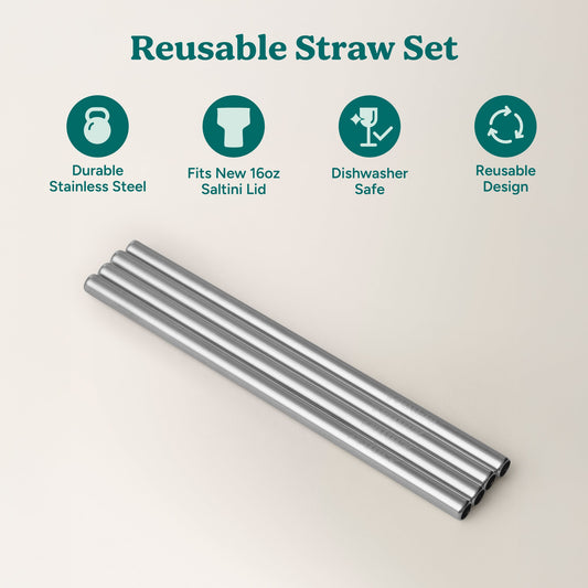 saltini-straw-set-s2 4PK_SaltiniStraws_SS-2.jpg