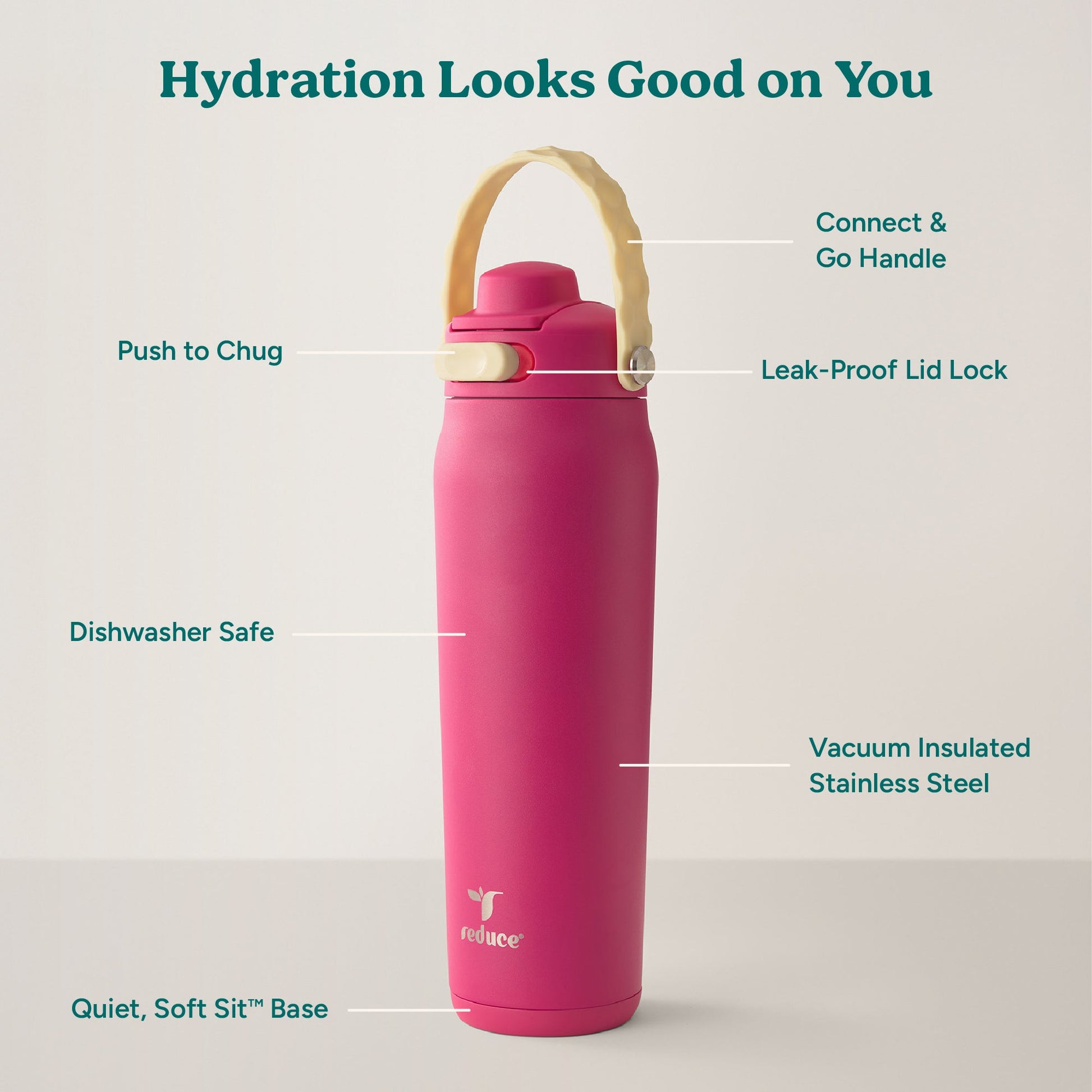 aura-26-oz-w5 Aura_26oz_DragonFruit_PDP_Infographic_2-03.jpg