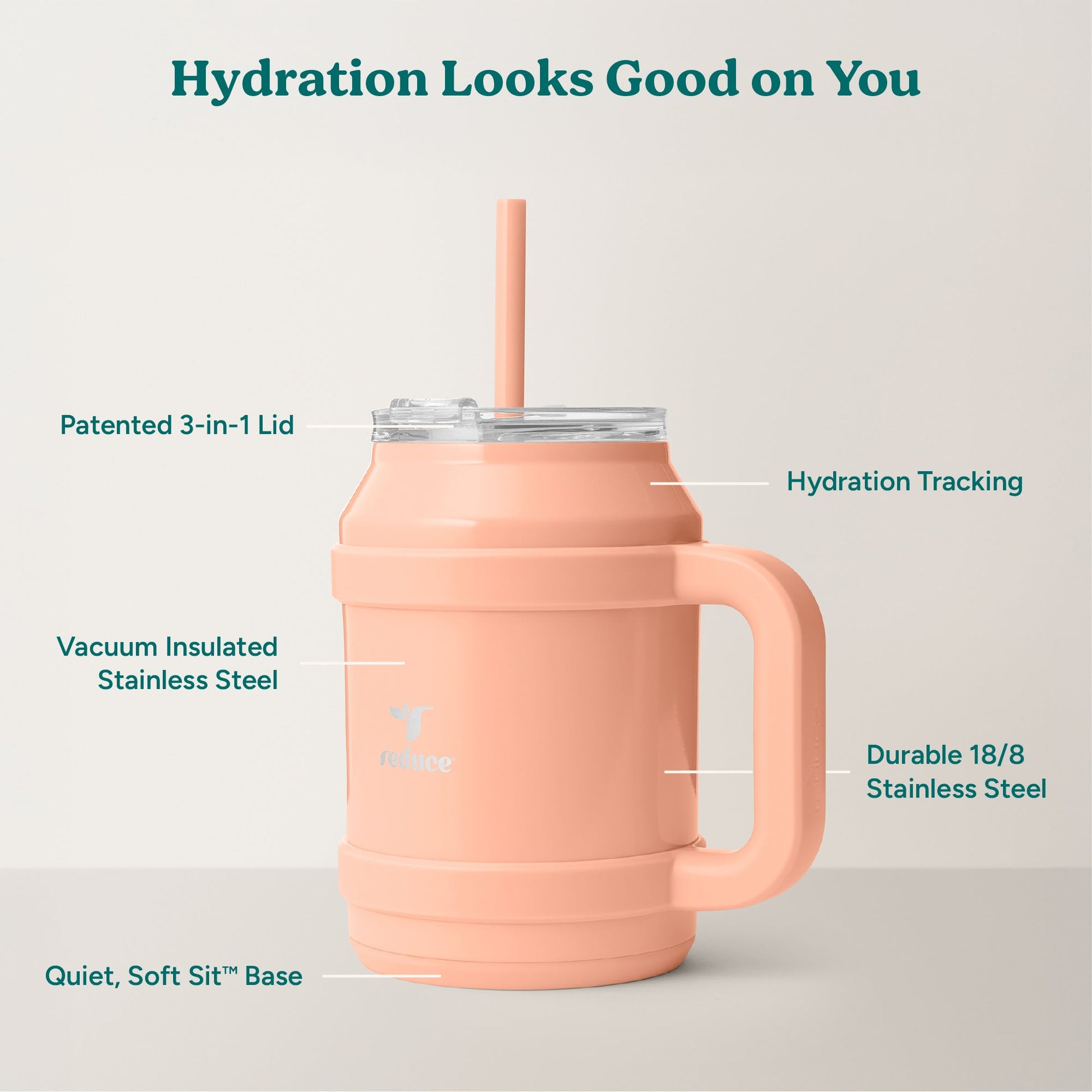 cold1-desktop-50-oz-l4 Cold1_50oz_Desktop_Sedona_Infographic_2.jpg